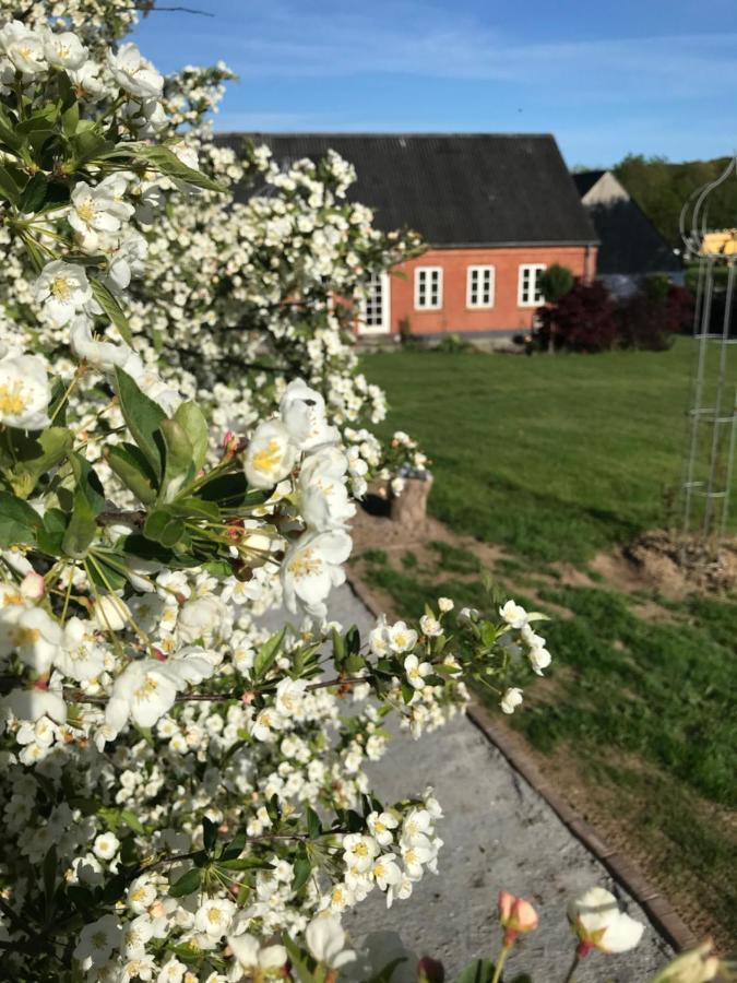 Brorup Kjaersgaard, Hygge, Ro, Natur Og Landliv Скандерборг Екстериор снимка
