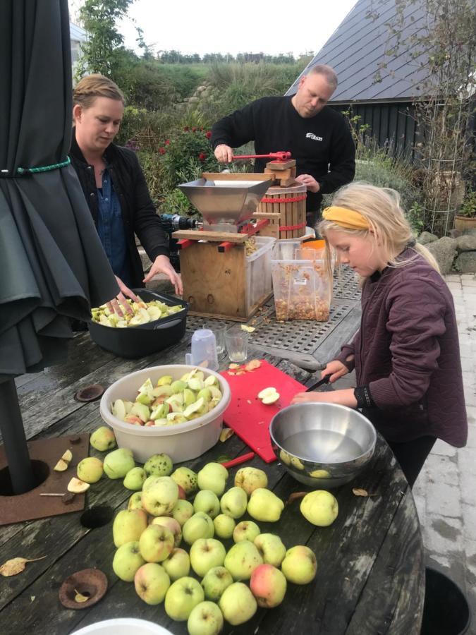 Brorup Kjaersgaard, Hygge, Ro, Natur Og Landliv Скандерборг Екстериор снимка